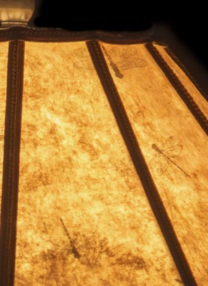 shade closeup